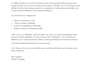 write professional email marketing copy for your brand